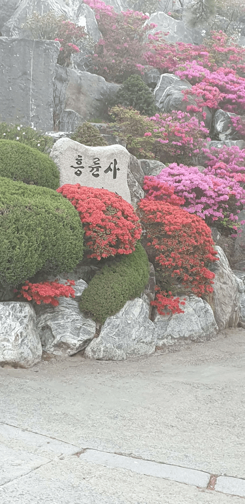 절 흥륜사 입구의 흥륜사 표석 사진입니다.